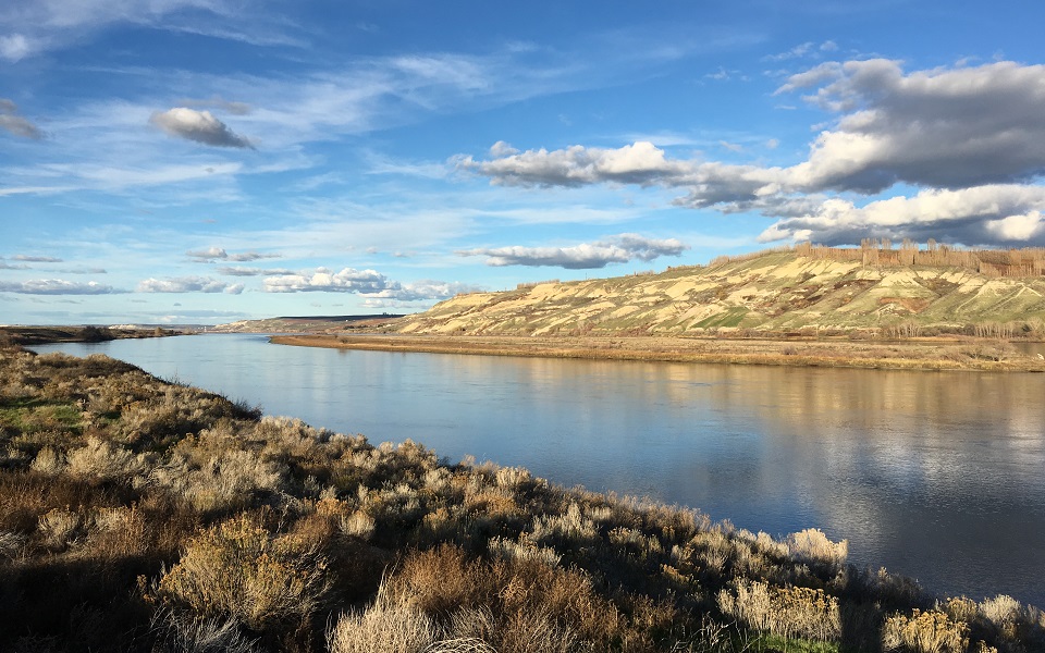 A view of the Columbia River.