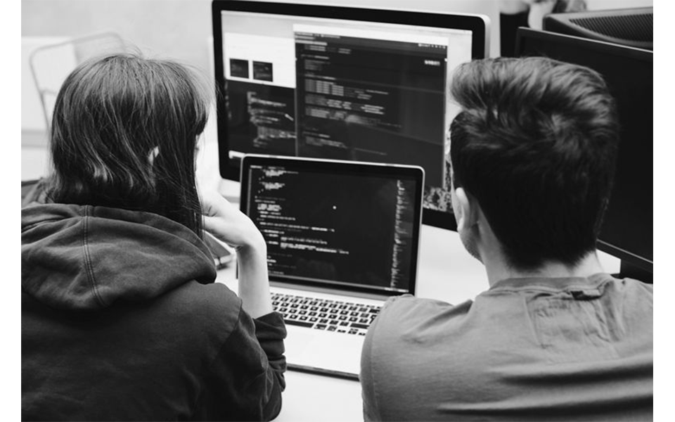 Coders sit in front of computer screens.