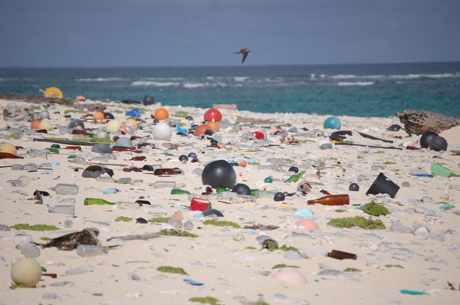 Newswise: Designing plastic to break down in the ocean is possible, but is it practical?