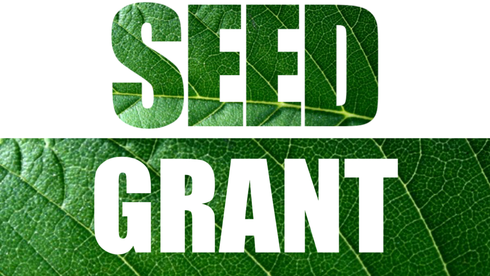 RISE Seed Grant