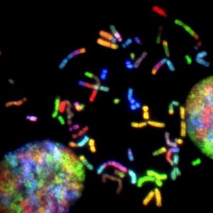 picture of cancer gene networks