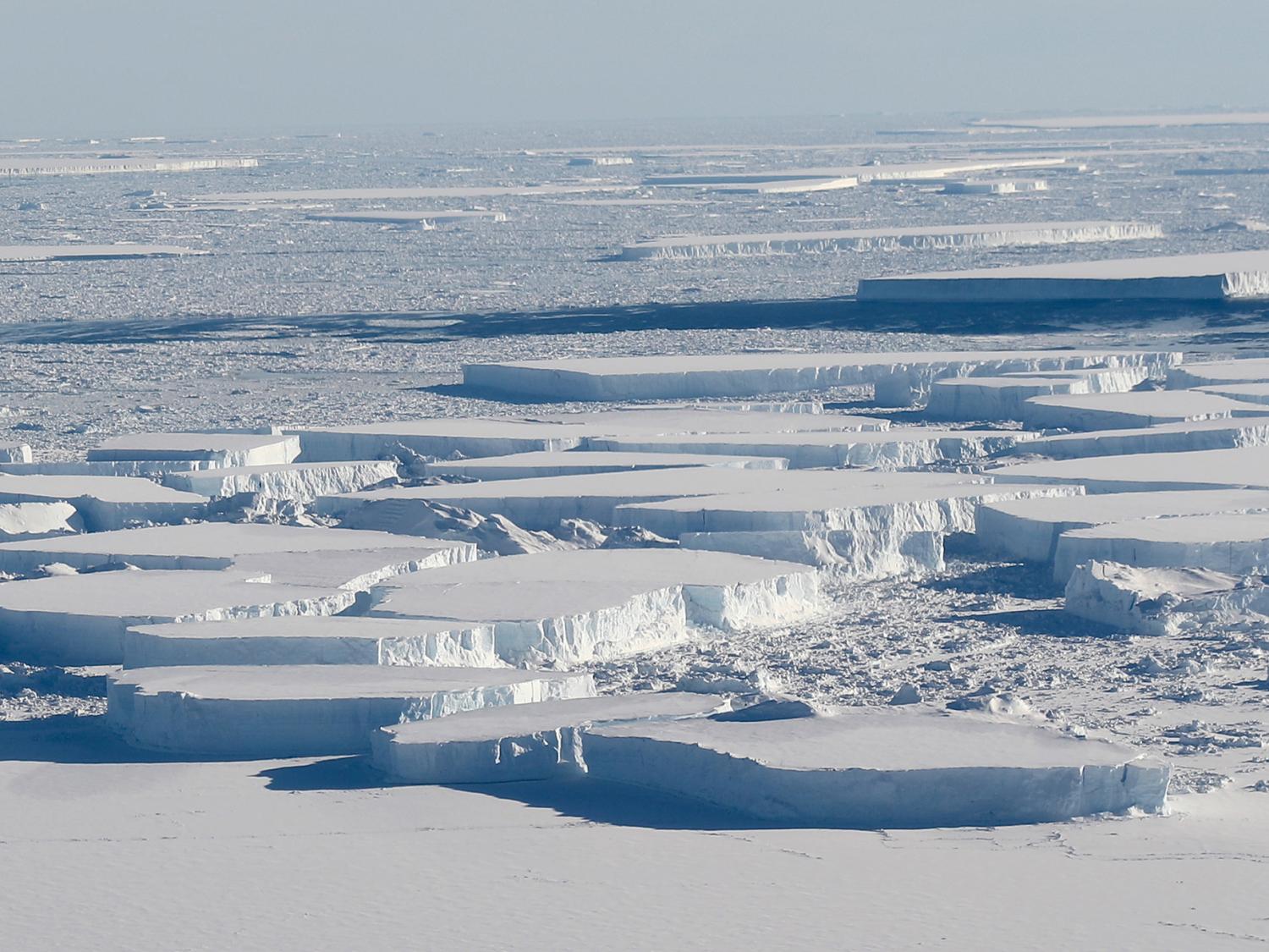 Ice Shelf